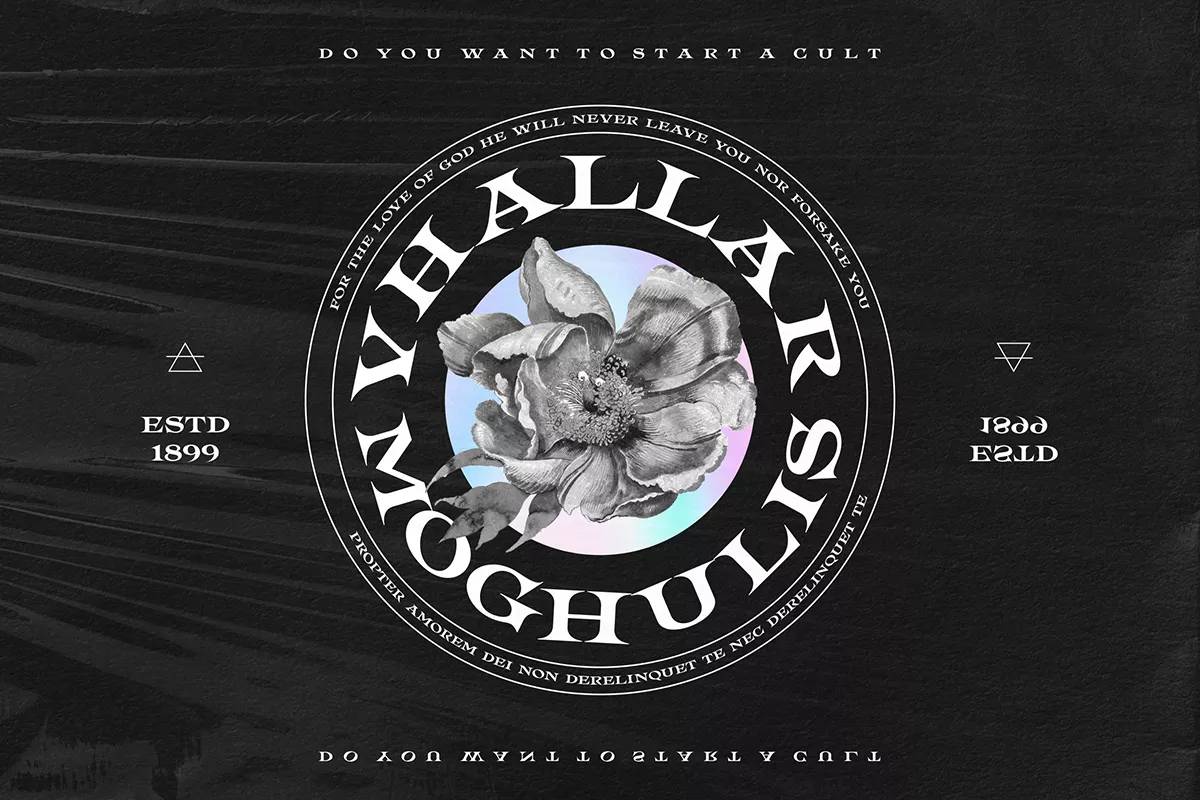 Spectre Font 超好看品牌设计LOGO设计无衬线装饰字体