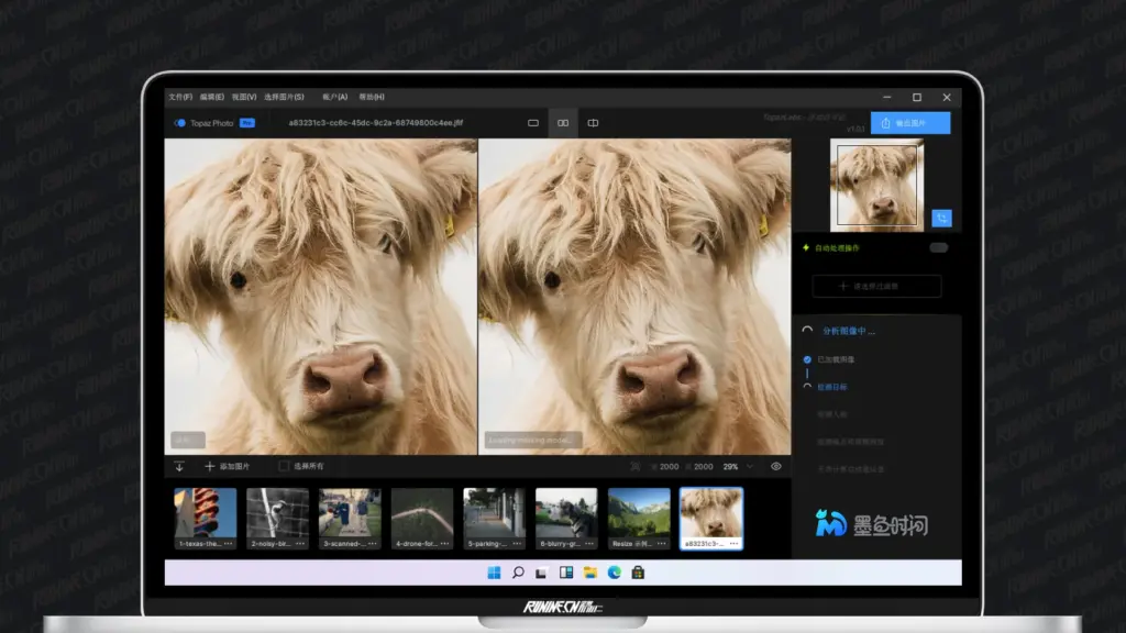 图片[1]-智能图像修复软件 Topaz Photo Pro v1.0.1 中文汉化破解版-墨鱼时间
