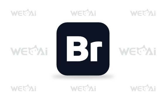 Adobe Bridge 2026 v16.0.7.36.00 中文版 | 创意素材管理工具-墨鱼时间